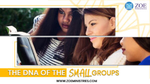The DNA of the Small Groups